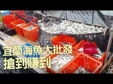 Amazing use of ocean currents to fish all kinds of fish. Make sashimi immediately.