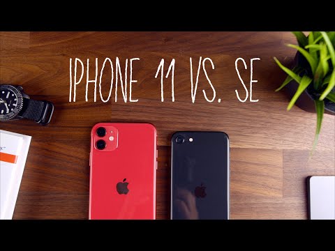 iPhone 11 vs. the new iPhone SE - Which Phone is Better Value??