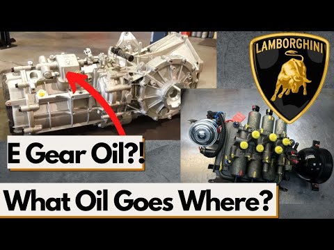 What Transmission Fluid Goes In Your Lamborghini Gallardo? E Gear & Rear Differential Oil Choices?