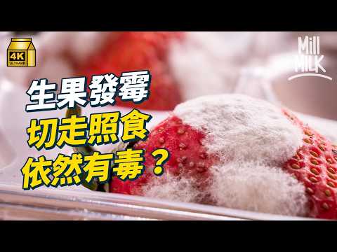 #MM｜生果發霉切走都可能有毒？直闖化驗室 測發霉生果剩餘部分有幾污糟！霉菌肉眼未必可見 變腍發黑或已中招｜#Weekly_pedia #4K