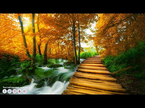 Лечебная музыка для сердца и сосудов! До слез красивая мелодия! Слушайте и прочувствуйте эти мелоди