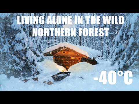 8 months of survival in the wild forest. Living alone. Documentary
