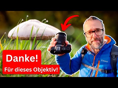 Canon RF28-70mm f/2.8 IS STM in practical test: The all-round lens that was missing!