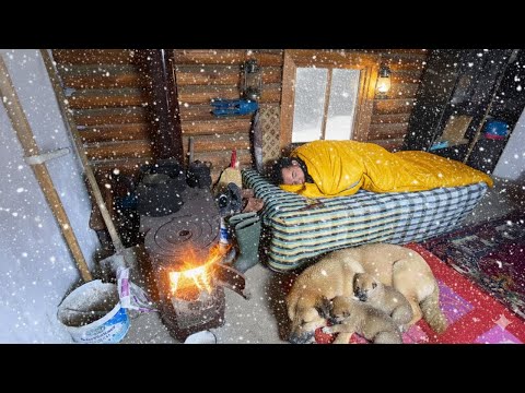 Trapped in a Deadly Snowstorm  -45°C Survived in A TREEHOUSE in the middle of A BLIZZARD!