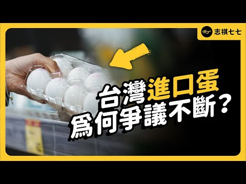 從大量進口到賣不出去，「進口蛋」為何充滿爭議？台灣還會缺蛋嗎？｜志祺七七