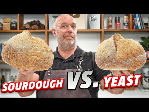 SOURDOUGH VS YEAST