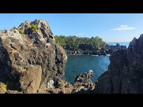 海浪撞碎在济州的玄武岩上，突然明白，这世间最震撼的风景，是时光亲手雕琢的模样。#阳光沙滩海浪 #旅行 #