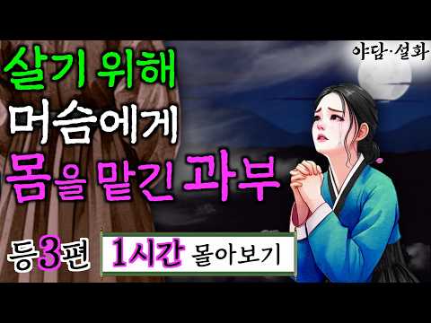 여우야담 몰아보기 '살기 위해 머슴에게 몸을 맡긴 과부' 등 3편 1시간. 야담, 민담, 전설, 설화, 옛날이야기