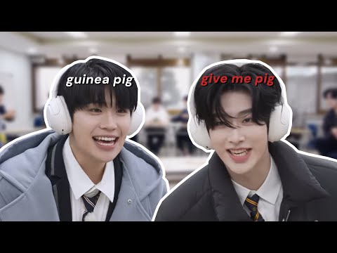 ricky being the funniest member in zb1