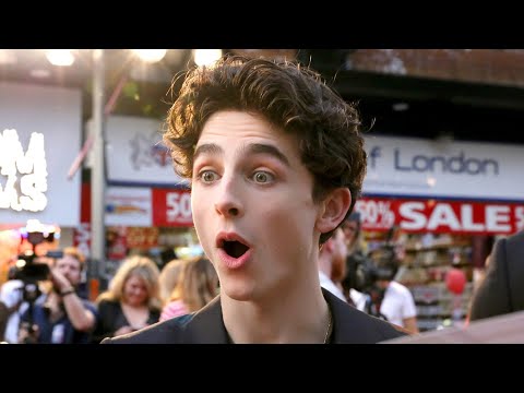 Timothée Chalamet being CUTE for 10 minutes