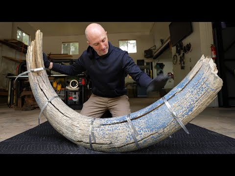 Mammoth Tusk Restoration