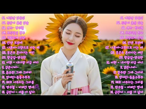 차 안에서 듣는 트로트 | 드라이브 음악💖하루 종일 듣기 좋은 노래 모음🎶흘러간 옛노래 뽕짝 메들리 가사 포함,추억의 트로트 명곡 모음💿 잊을 수 없는 그 시절의 감성