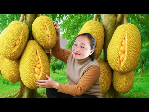 Harvest giant jackfruit, celery to sell at market, take care of vegetable garden in garden