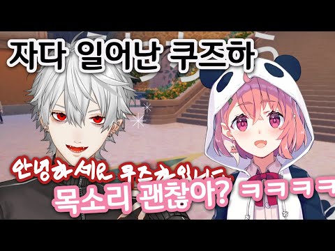 【쿠즈하/사사키 사쿠】 저녁 7시도 이른 초야행성 흡혈귀 【니지산지 클립】