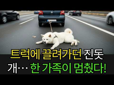 고속도로에서 트럭에 끌려가던 진돗개 새끼… 그러나 그 후, 한 가족의 믿기 힘든 행동이 모두를 숨죽이게 만들었다!