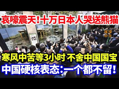 哀嚎震天...十万日本人哭送熊猫！寒风中苦等3小时 不舍中国国宝，中国硬核表态：一个都不留！#璀璨中华 #中国新闻 #中日关系 #日本 #大熊猫 #萌系 #可爱 #最新消息