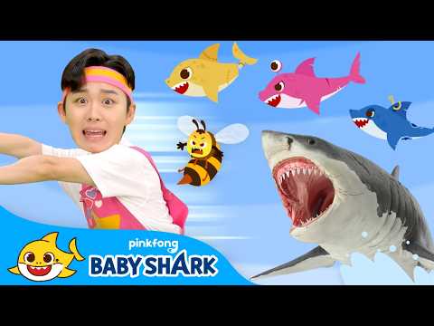 [BEST] Run Away! fast! | Let's Play and Learn with Hoi | Baby Shark Official
