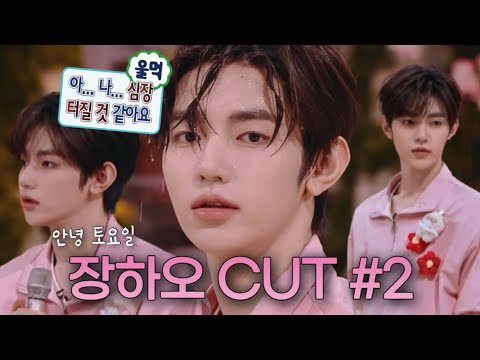 你好, 星期六 (안녕 토요일) 장하오 CUT 2 | 한국어 자막, 오역/의역 o