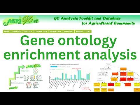 AgriGO: A web-based tool to perform gene ontology enrichment analysis