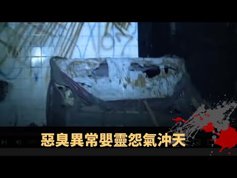 楊天經地下室睡房怪談 泰國黑市墮胎醫院招魂 惡臭異常嬰靈怨氣沖天 - TVB詭異檔案 鬼故事 在線重溫 ep25上丨司徒法正 梁嘉琪 楊天經 李思雅 朱鑑徽