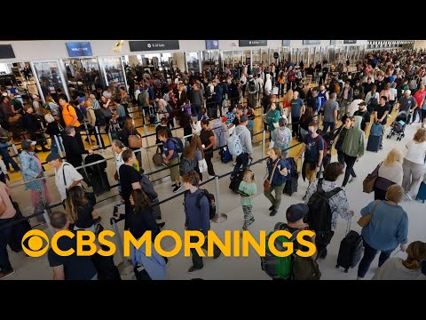 Some travelers navigate TSA wait times as long as 6 hours as ICE agents are sent to airports