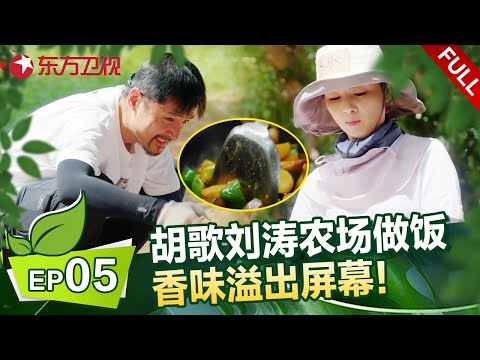 EP05：胡歌开除草机超接地气，结果把车开坏了？ 刘涛农场摘菜做饭，陈龙自制招牌地三鲜，胡歌品尝后狂赞！#刘涛 #胡歌 #一路前行 FULL