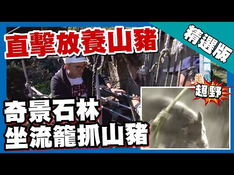 台灣第一等【氣爆地震造天然石林 坐流籠抓放養山豬】嘉義_精選版