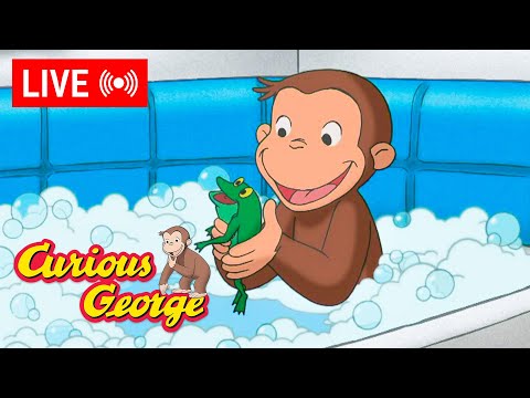 🔴 LIVE Curious George Episodes 🐵 George's Froggy Bath Time 🐸🛁 + MORE!
