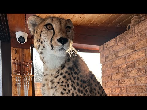 Gerda doesn’t listen to anyone today, she’s on her own wavelength.