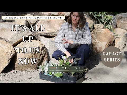 What happens when the landscapers leave? It's on us now | Reno & Landscaping Down Under