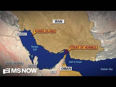 Mideast Expert Breaks Down How Iran is Winning Oil Fight in War with U.S.