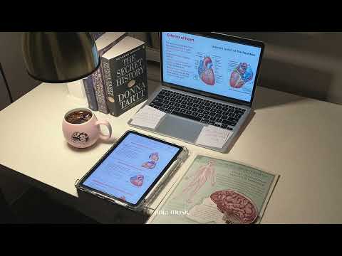 𝑷𝒍𝒂𝒚𝒍𝒊𝒔𝒕 (inst) Soft Lofi to Carry Your Late-Night Study Routine 📚 Calm Music for Deep Focus 📝