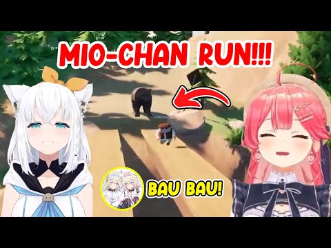 Miko Can’t Stop Laughing at Mio Being Chased by a Bear