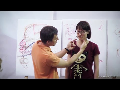 Александр Рыжкин об анатомии головы