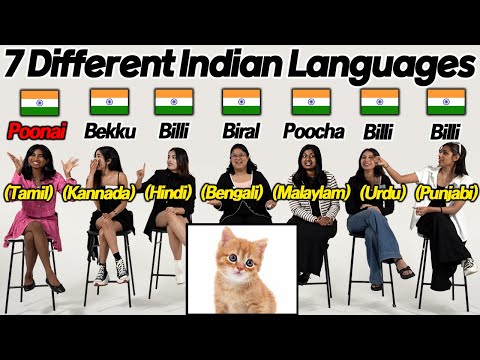 7 Different Indian Language! l Can Indians Understand Each Other?