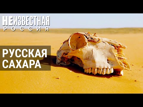 Русская Сахара | НЕИЗВЕСТНАЯ РОССИЯ