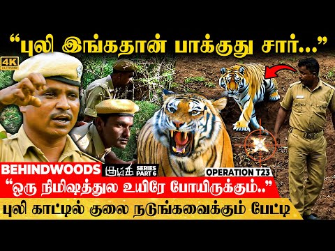 "5 மீட்டரில் புலி.. தாவி குதிச்சு உயிர் தப்பிச்சேன்..." வன ஊழியர் திக் திக் பேட்டி