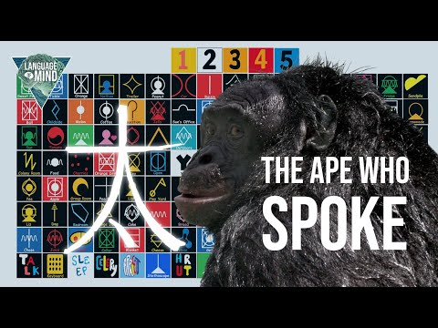 Kanzi - The smartest ape that ever lived