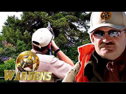 Wardens: Illegal Possession & Under Fire | FD Real Show