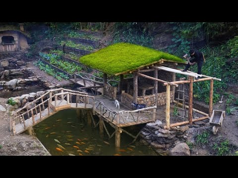 Build outdoor kitchen. Complete foundation and house frame. Life off the grid