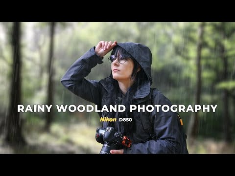 When Rain Changes Plans: Macro in the Woods