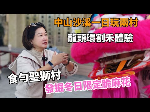 跟住Jacky 一日玩轉中山沙溪兩條村！先去龍頭環村，落田體驗傳統割禾，感受豐收喜悦。再衝入聖獅村，掃街地道老字號網紅店。發掘冬日限定脆麻花，全程記錄最真實嘅鄉村生活同人情味。