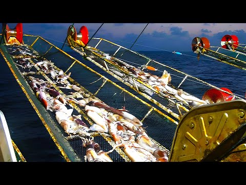 大开眼界的深海捕捞鱿鱼过程和世界最大延绳钓鱼船，看了直呼NB，这些捕鱼设备已经让鱼无处可逃
