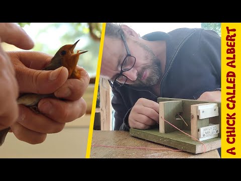 How not Killing Mice led to an unexpected Save