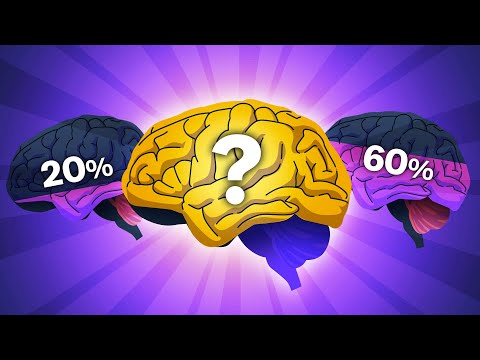 How To ALWAYS Stay Motivated