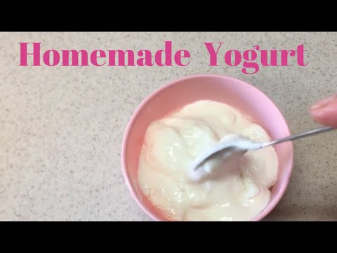 Homemade yogurt