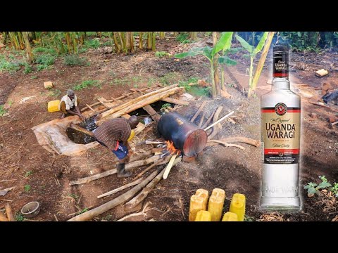 Uganda’s Waragi: The Local Drink That Beats Whiskey!