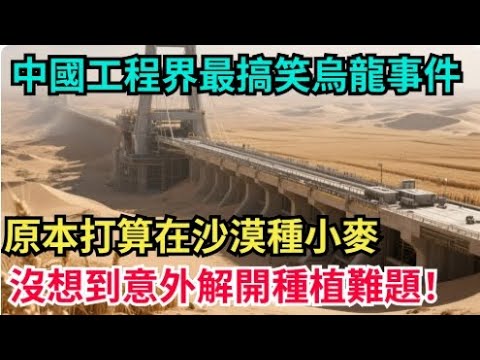 中國工程界最搞笑烏龍事件！原本打算在沙漠：種小麥，沒想到意外解開種植難題！【八哥說世界】#大國工程 #超級工程解密 #中國建造 #工程人故事 #基建奇蹟