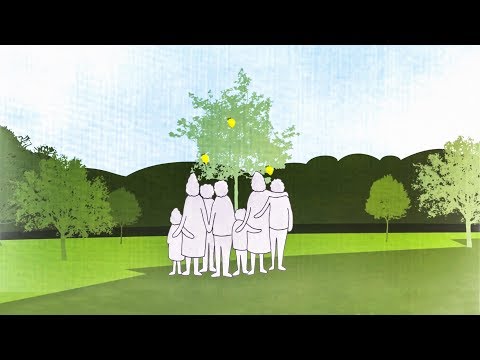 When I die, recompose me | Katrina Spade