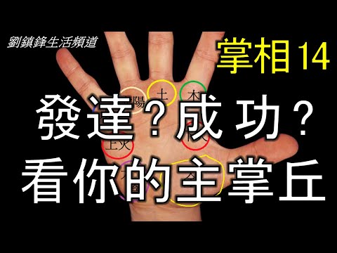 掌相14 掌丘看性格 主掌丘 (開啟字幕)｜掌丘快速掌相法 木星丘 土星丘 太陽丘 水星丘 火星丘 太陰丘 金星丘| 劉鎮鋒生活頻道